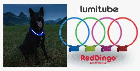 lumitube reddingo dingomarket 450