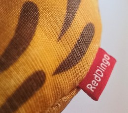 2025-01-06_11-02-19-5934