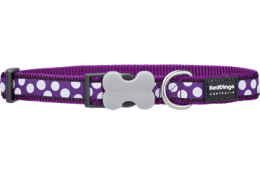 DC-S5-PU_016