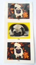 mops3