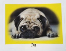 mops