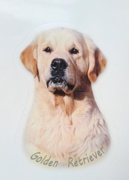 retriver2